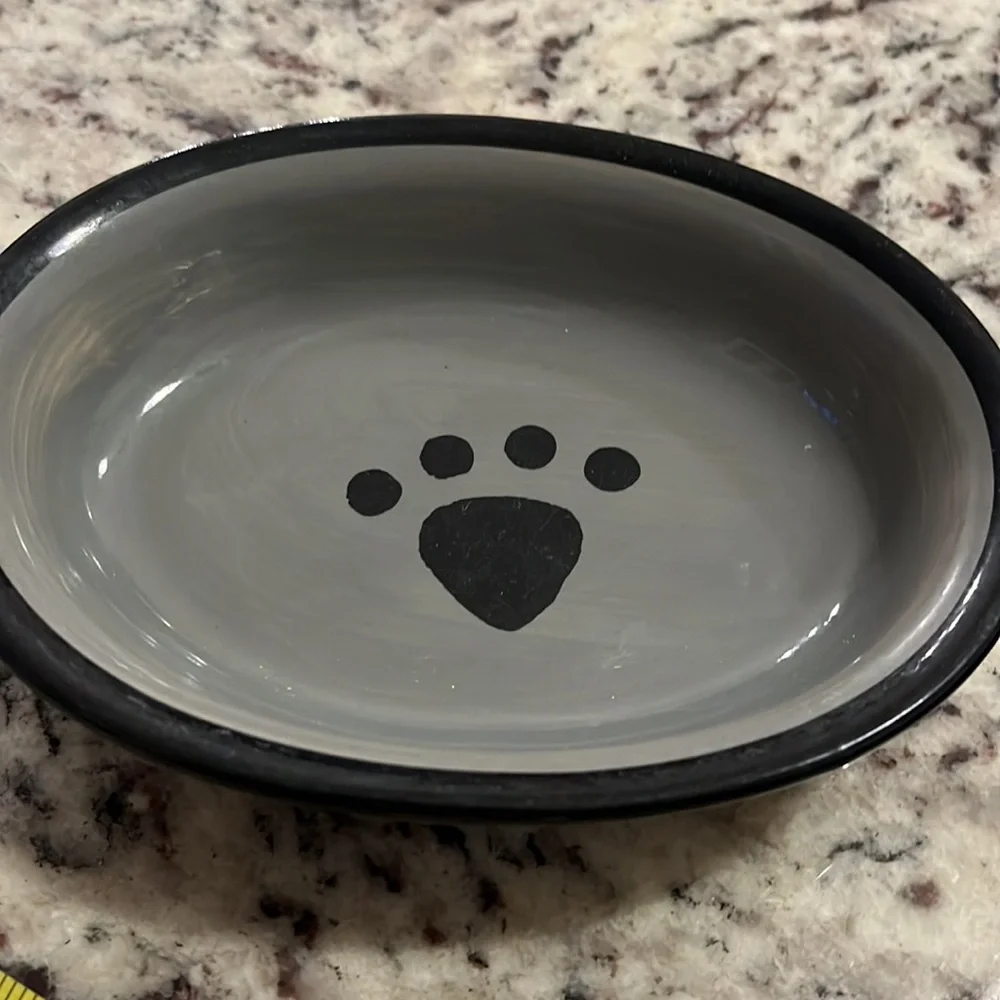 Pet cat bowl